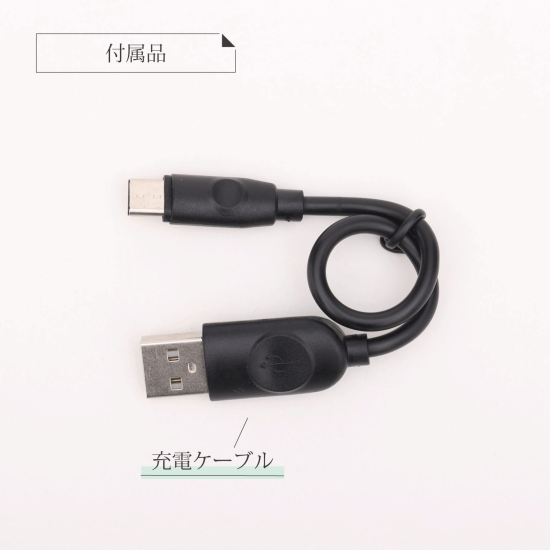 Style Charge 5000 スタイル チャージ 5000