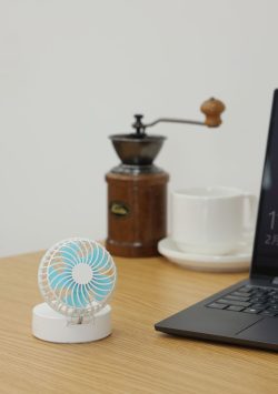 iFan ShellS アイファン シェルエス 2020