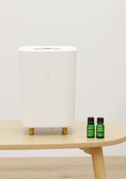 L’s Humidifier mini+ エルズヒュミディファイアーミニ プラス 2022