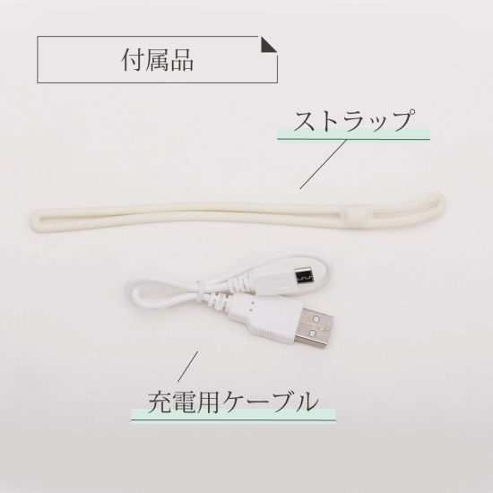e-Kairo Carré イーカイロ カレ
