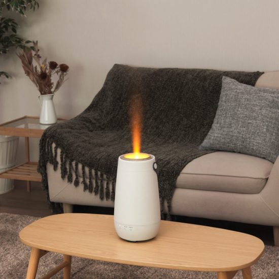 L’s Humidifier Jet 24