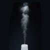 L’s Humidifier Jet 24