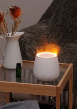 Aromist Flare25 アロミスト フレア